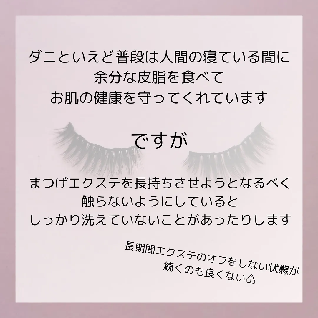 🫎あなたは大丈夫？恐怖のまつげダニ🫎