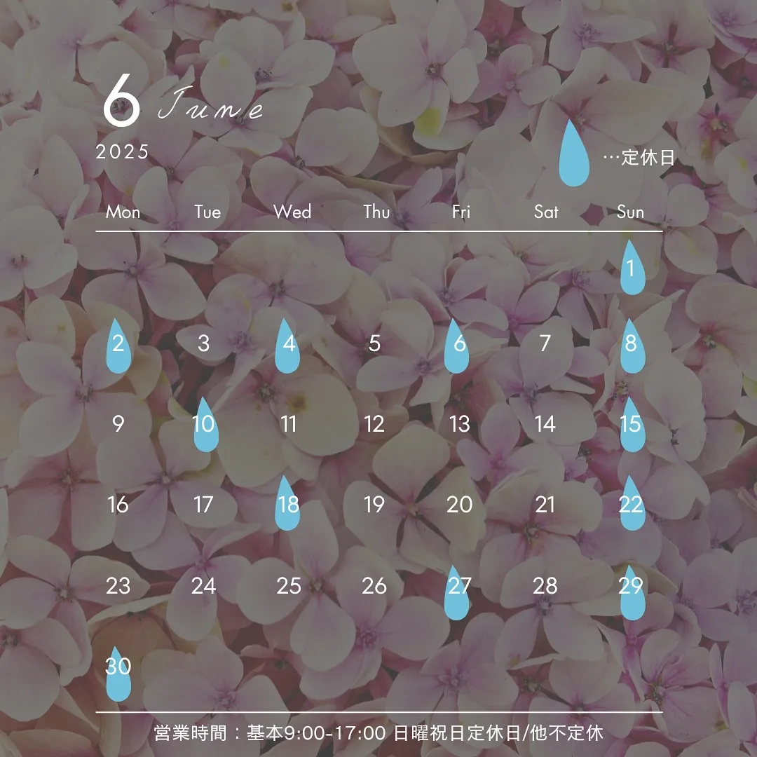 🫎6月の営業日とお知らせ🫎
