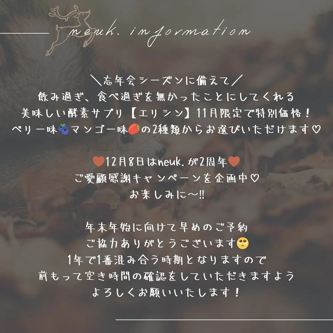 🫎11月のお休みとお知らせ🫎