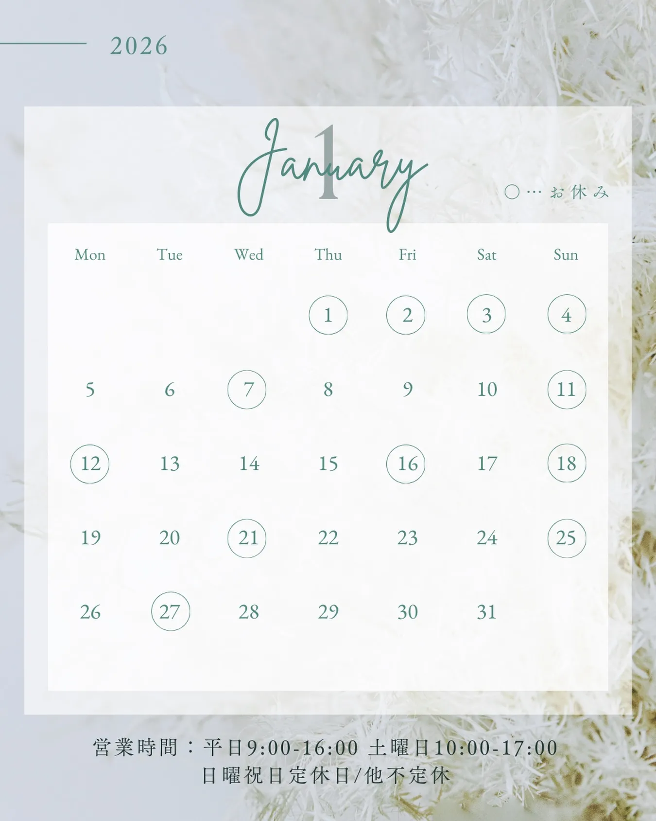 🫎1月のお休みとお知らせ🫎