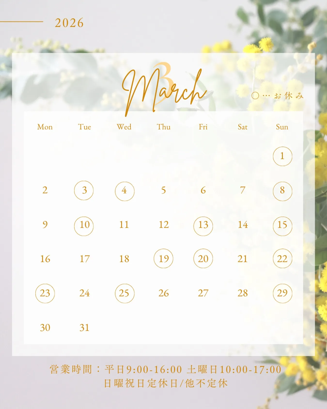 🫎3月スケジュール🫎